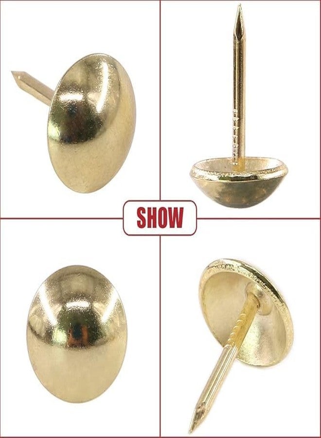 Aakash Decor Chrome Gold Polished Pully Stud Pins Nails/Screws, Rust Free Push Nails, Sofa Nails 11mm Dia & Length 11mm Pack of 500 Pcs - Image 4